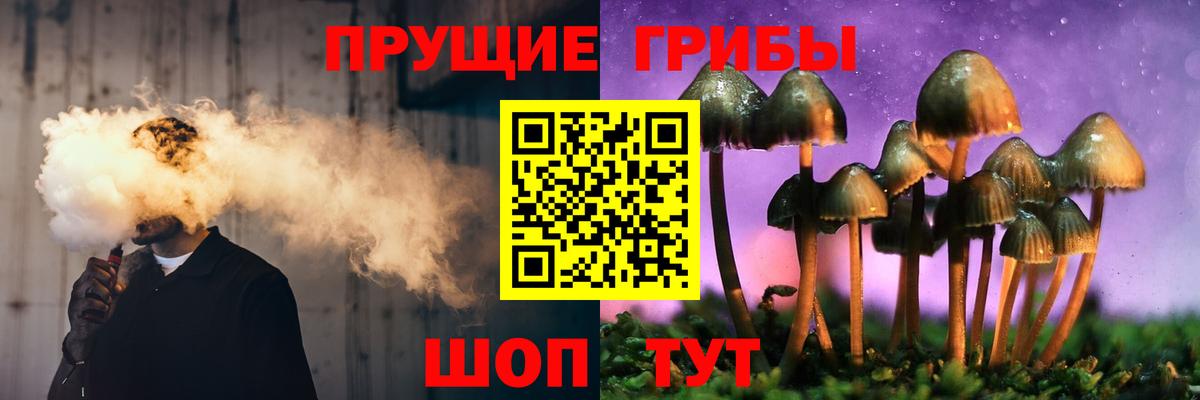 Псилоцибиновые грибы Psilocybine cubensis Вязники
